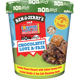 Photo of Ben & Jerry’S Non-Dairy Frozen Dessert Chocolatey Love A-Fair 465 Ml 