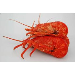 Photo of Crayfish Deposit