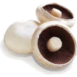 Photo of Mushrooms White Flat