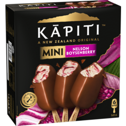 Photo of Kapiti Ice Cream Boysenberry 6 Pack