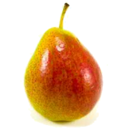 Photo of Pear Corella