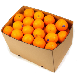Photo of Box Oranges Valencia