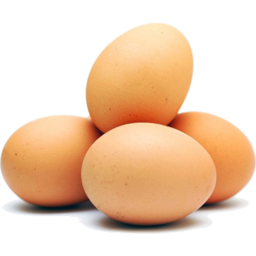 Photo of Eggs Caged