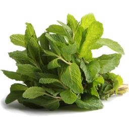 Photo of Tucker Fresh Selections Herbs Mint