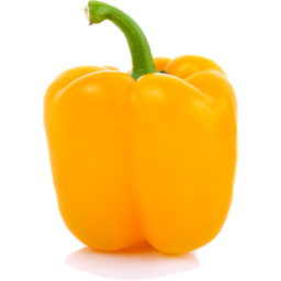 Photo of Capsicums Yellow Kg