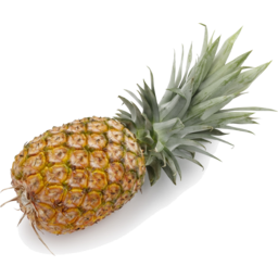 Photo of Pineapple - Smooth Leaf