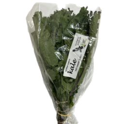Photo of Organic Kale 100gm