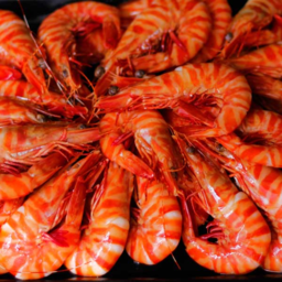 Photo of Aust Cooked Prawns Tiger 20/30 Kg