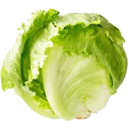 Photo of Iceberg Lettuce Premium