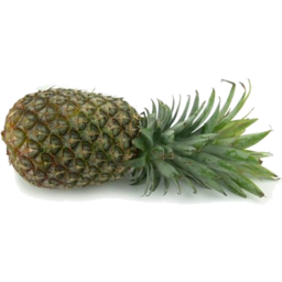 Photo of Pineapple Smooth Leaf Half Ea