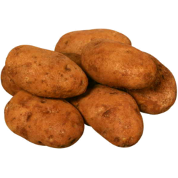 Photo of Potato Russet Burbank / Kg