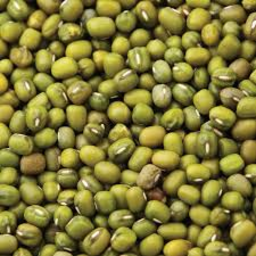 Photo of Mung Beans 20kg