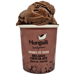 Photo of Mungalli Organic Chocolate Ice Cream
