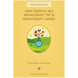 Photo of Charts - Aromatherapy Guide