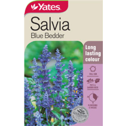 Photo of Yates Salvia Blue Bedder Seed Packet