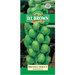 Photo of 	D.T. BROWN BRUSSELS SPROUT EVESHAM