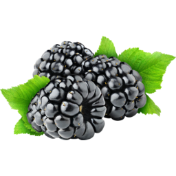 Photo of Blackberries Punnet