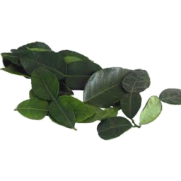 Photo of Herbs Kaffir Lime Leaf 10g