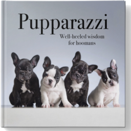 Photo of Pupparazzi