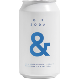 Photo of Gin Soda & Can