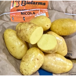 Photo of Potatoes - Nicola (Washed) 