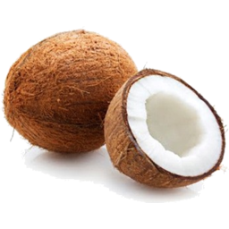 Photo of Coconut