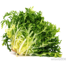 Photo of Lettuce - Coral Green