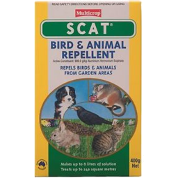 Photo of Scat Bird / Animal Rep