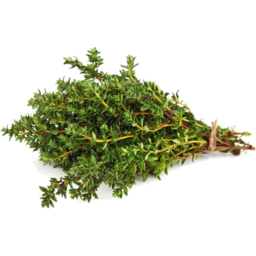 Photo of Thyme