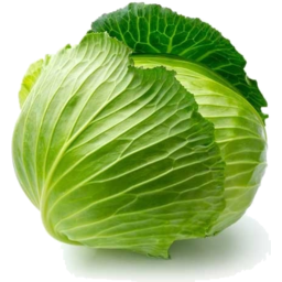 Photo of Cabbage - Organic
