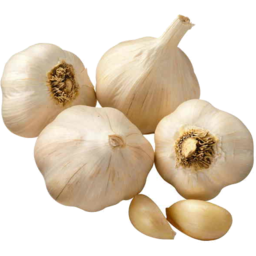 Photo of Garlic Rw