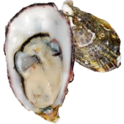 Photo of Oysters Ea