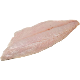 Photo of Butterfish Fillets