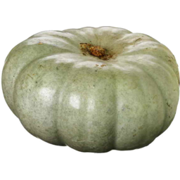Photo of Sweet Grey Pumpkin Organic Whole Kg