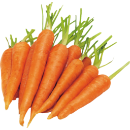 Photo of Carrots bunched