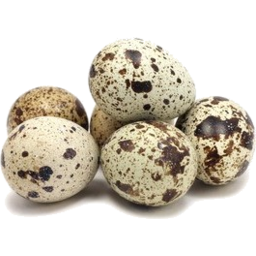 Photo of Yarra Valley Quail Eggs Tub 24pk
