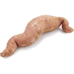 Photo of Sweet Potato - Kumera