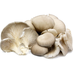 Photo of Mushroom Punnet Oyster 150g Organic