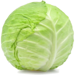 Photo of Green Cabbage
