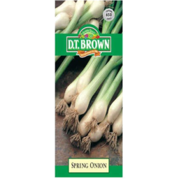 Photo of Dt Brown Spring Onion Seeds