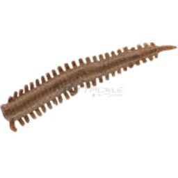 Photo of Berkley Gulp Sandworm Bloodworm
