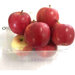 Photo of Apples Pink Lady's Tubs