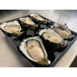 Photo of Fresh Half Shell Oysters - 1/2 dozen