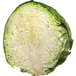Photo of Green Cabbage - Half