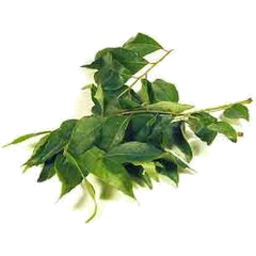 Photo of Curry Leaves 10g