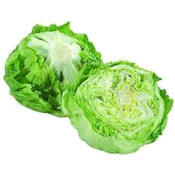 Photo of Iceberg Lettuce Half
