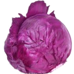 Photo of Cabbage - Red - Cert Org - Whole