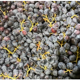 Photo of Grapes - Melody - 1kg or more
