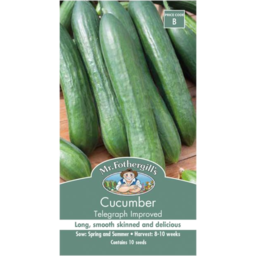 Photo of Seed Cucumber Telegraph B packet
