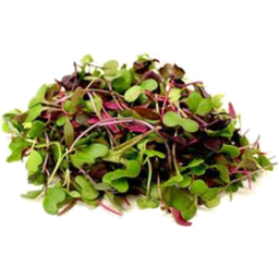 Photo of Micro Salad